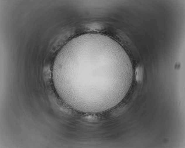 X0000111431395200907271054