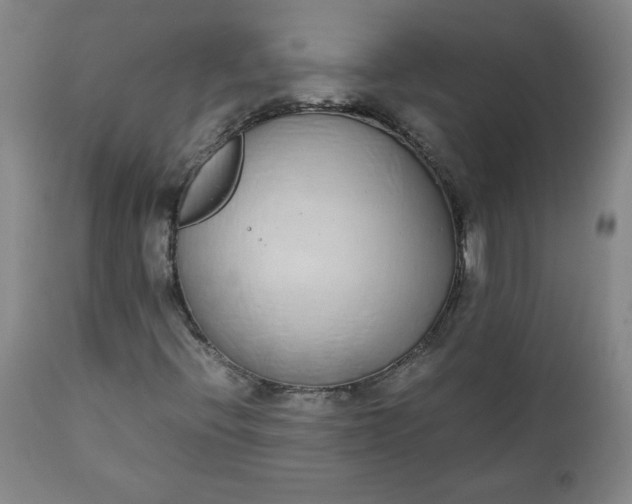 X0000111431396200907271054