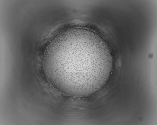 X0000111431397200907271054