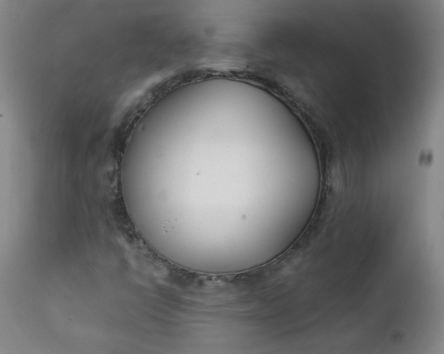 X0000111431398200907271054