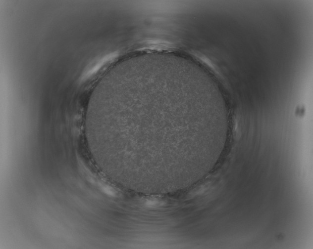 X0000111431399200907271054