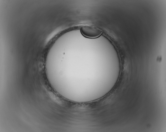 X0000111431400200907271054