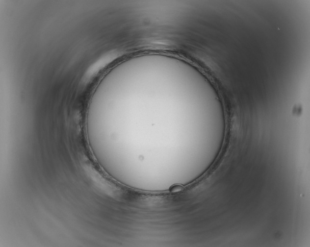 X0000111431402200907271054