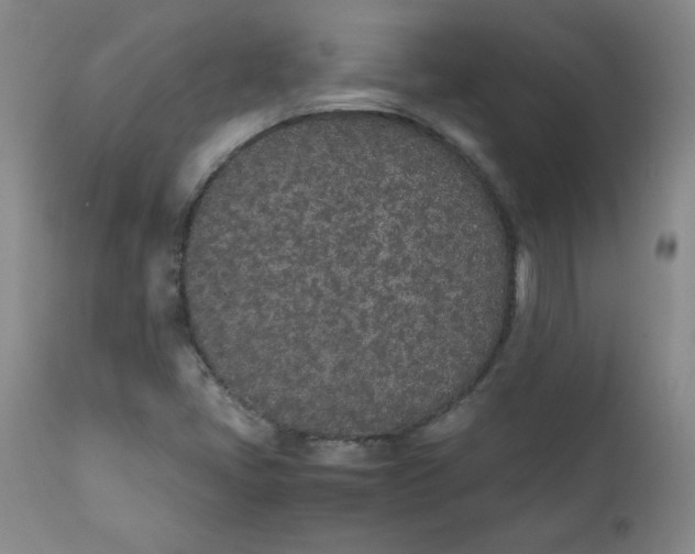 X0000111431405200907271054