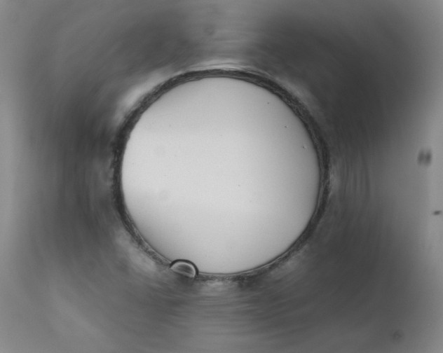 X0000111431406200907271054