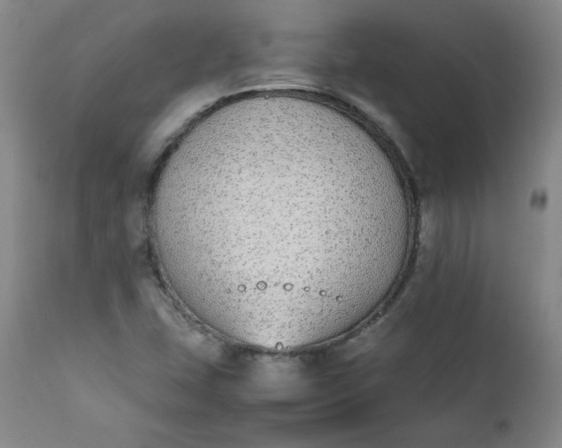 X0000111431407200907271054