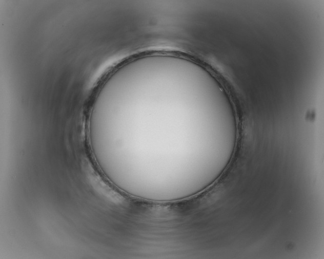 X0000111431408200907271054