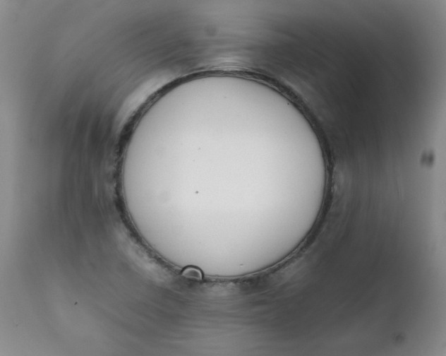 X0000111431410200907271054