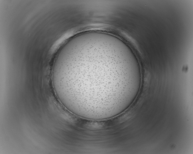 X0000111431411200907271054