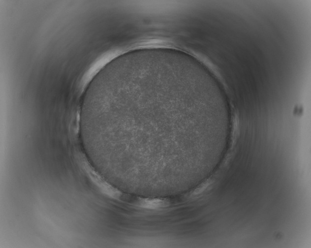 X0000111431413200907271054