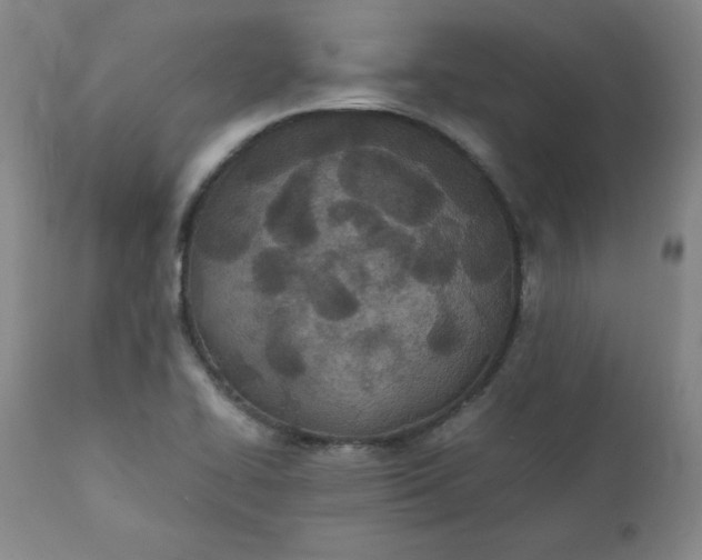 X0000111431414200907271054