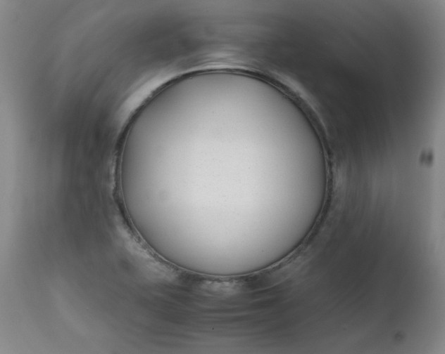 X0000111431415200907271054