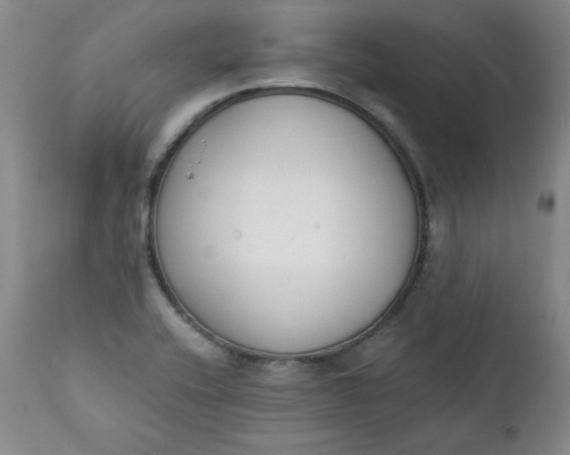 X0000111431416200907271054