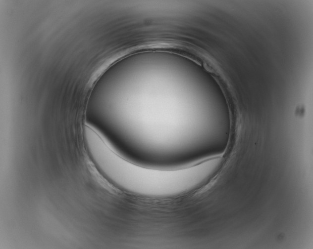 X0000111431417200907271054