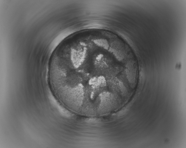 X0000111431418200907271054