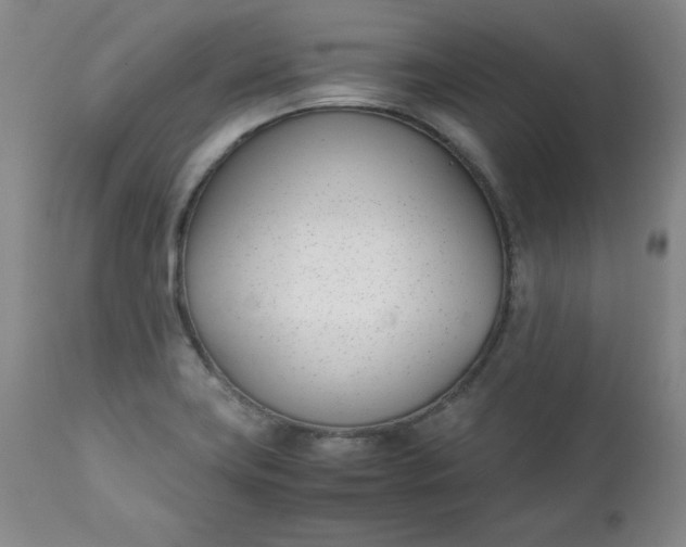 X0000111431419200907271054