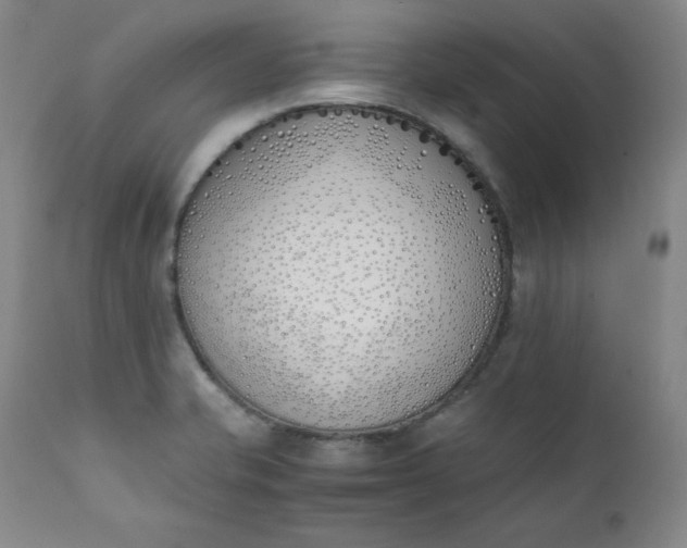 X0000111431421200907271054