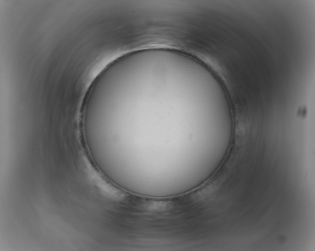 X0000111431423200907271054