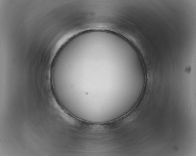 X0000111431424200907271054