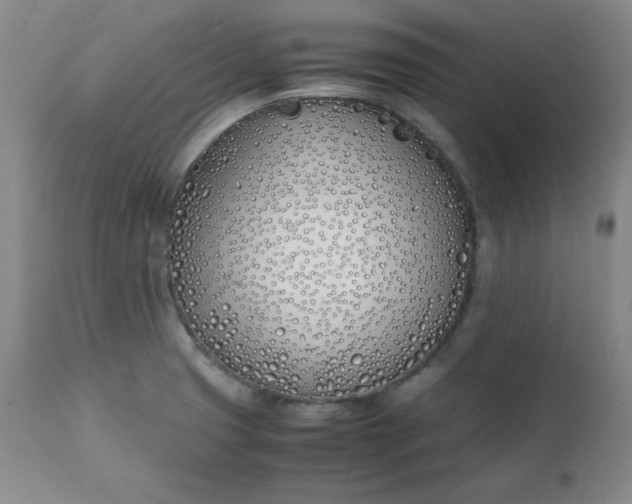 X0000111431425200907271054