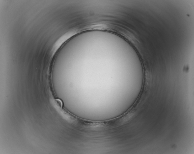 X0000111431426200907271054