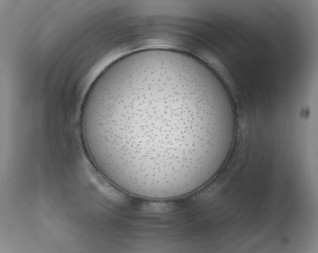 X0000111431427200907271054