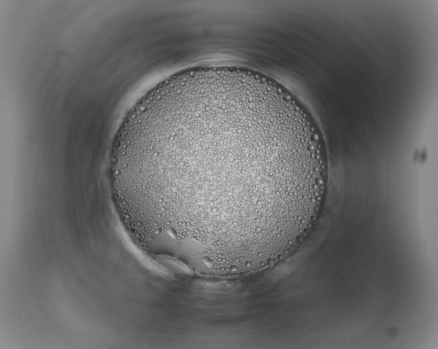 X0000111431429200907271054