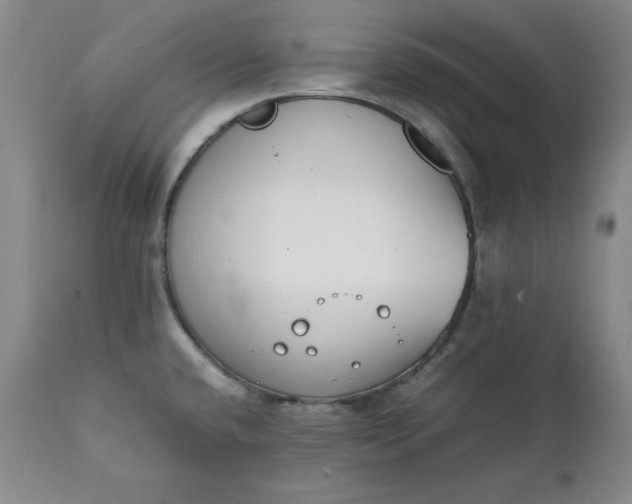 X0000111431432200907271054