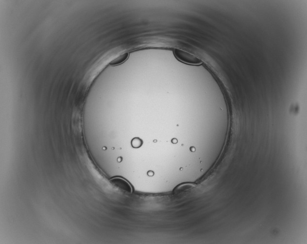 X0000111431433200907271054