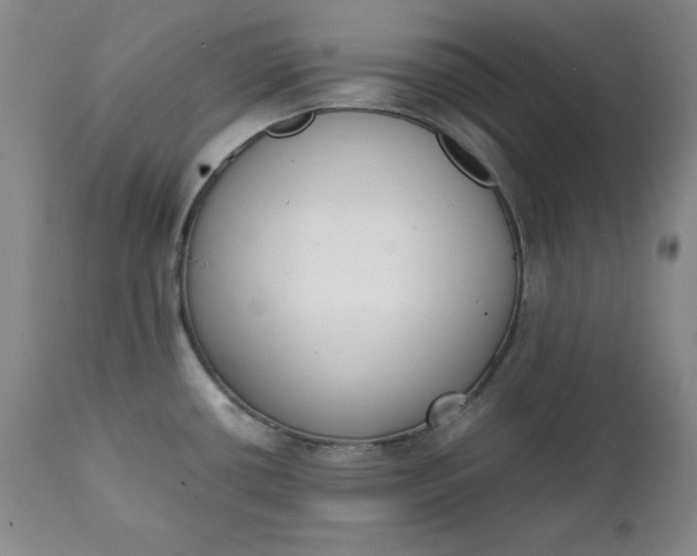 X0000111431434200907271054