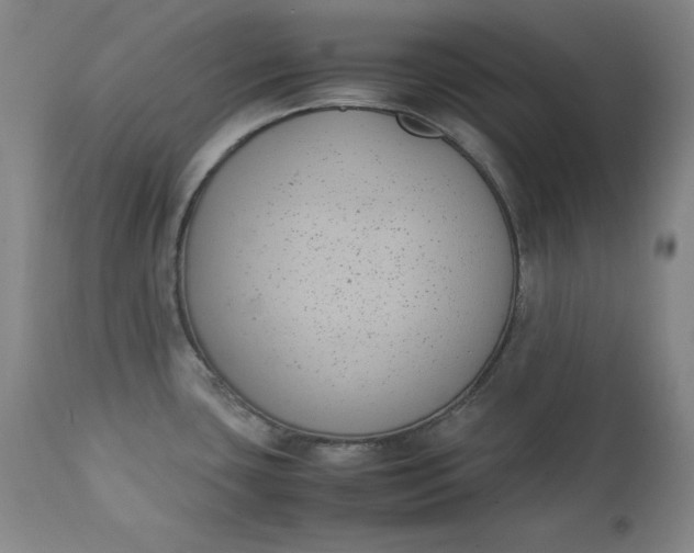 X0000111431435200907271055