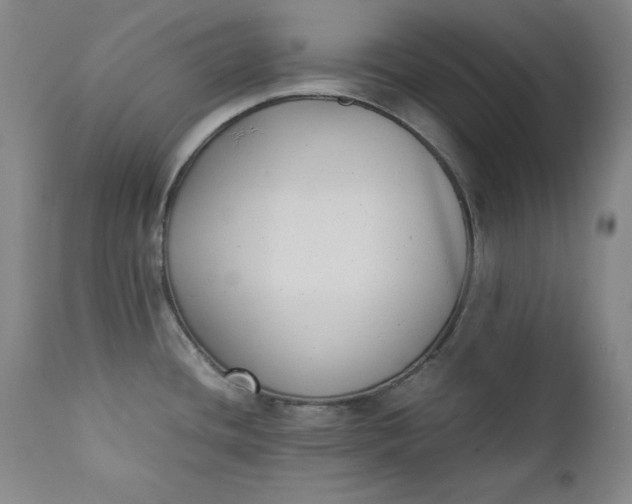 X0000111431436200907271055