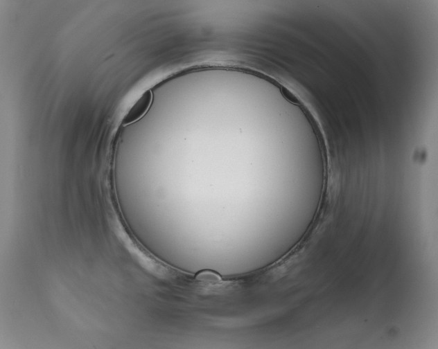 X0000111431437200907271055