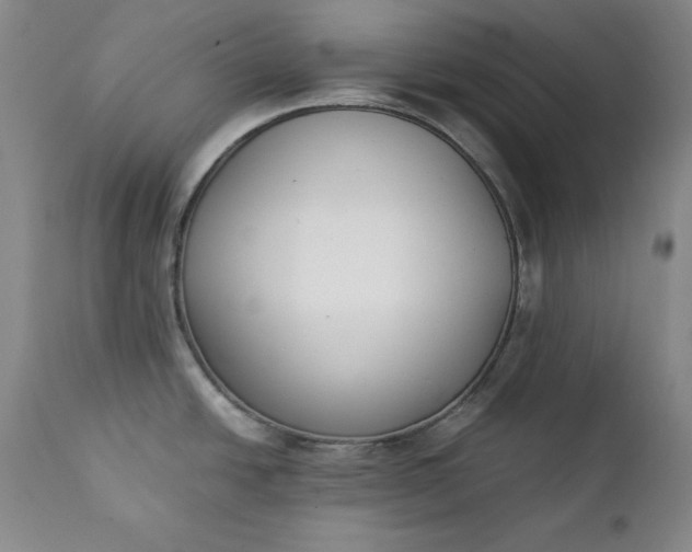 X0000111431438200907271055