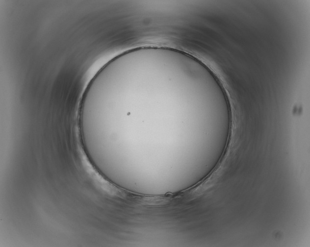 X0000111431440200907271055