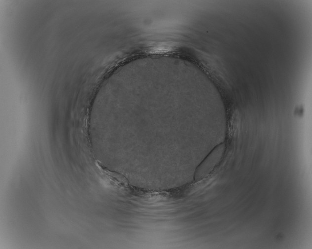 X0000111431441200907271054