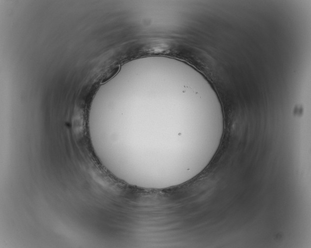 X0000111431442200907271054