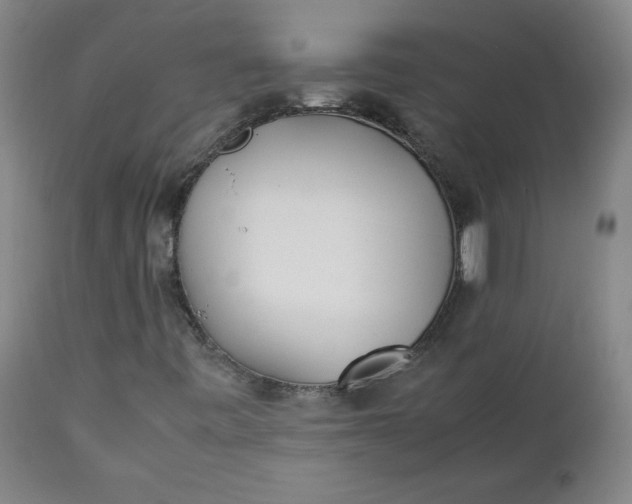 X0000111431443200907271054