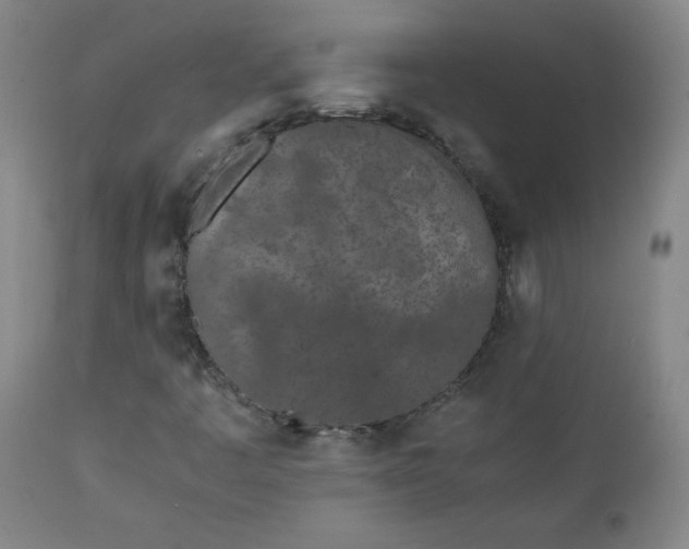 X0000111431445200907271054