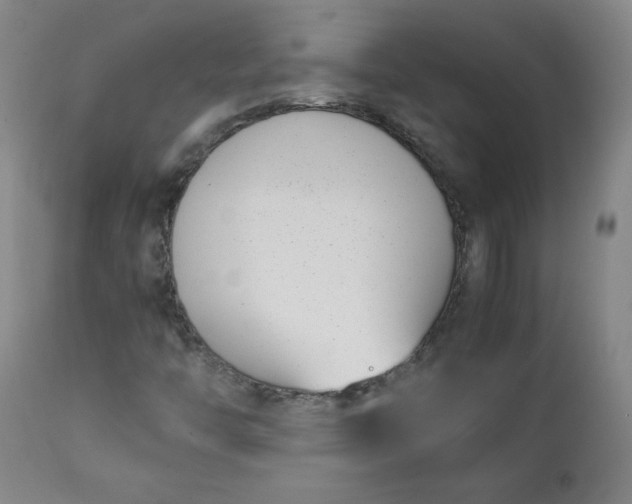 X0000111431446200907271054