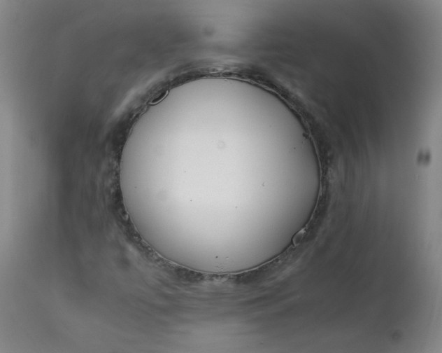 X0000111431447200907271054