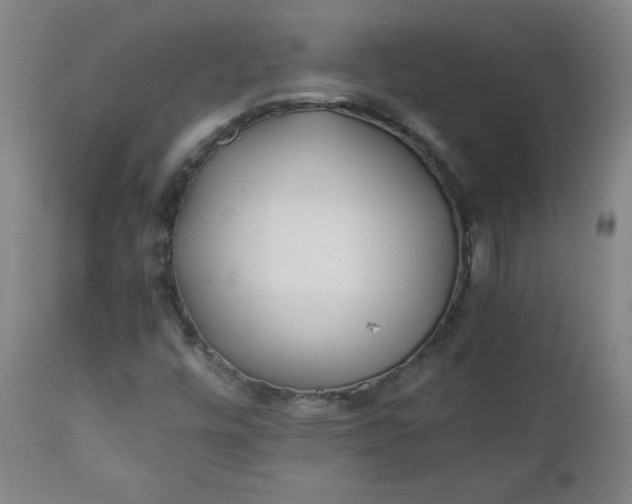 X0000111431448200907271054