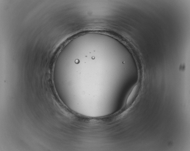 X0000111431449200907271054