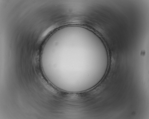 X0000111431450200907271054