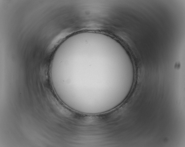 X0000111431451200907271054