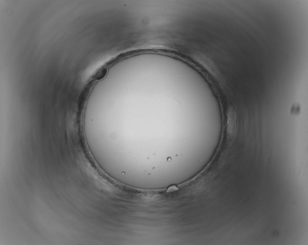 X0000111431452200907271054