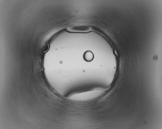 X0000111431453200907271054