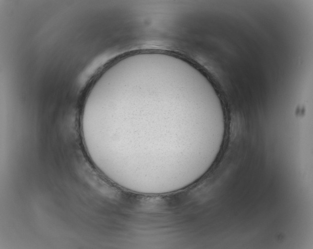 X0000111431454200907271054