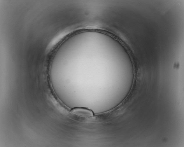 X0000111431456200907271054