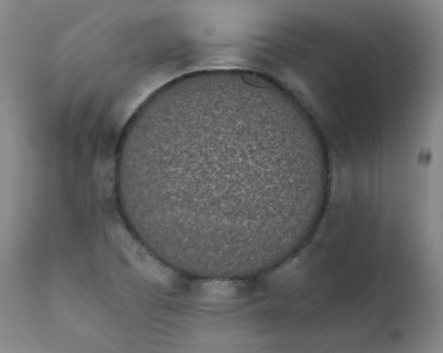 X0000111431457200907271054